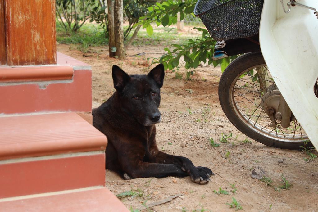 Spring Garden Homestay Phu Quoc Eksteriør bilde