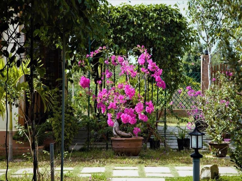 Spring Garden Homestay Phu Quoc Eksteriør bilde