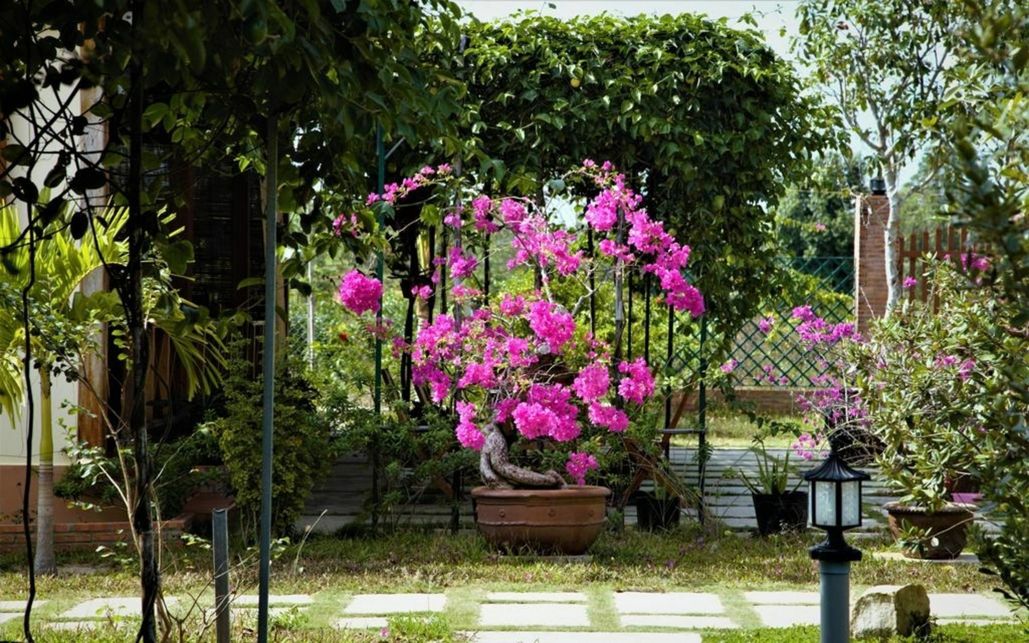 Spring Garden Homestay Phu Quoc Eksteriør bilde