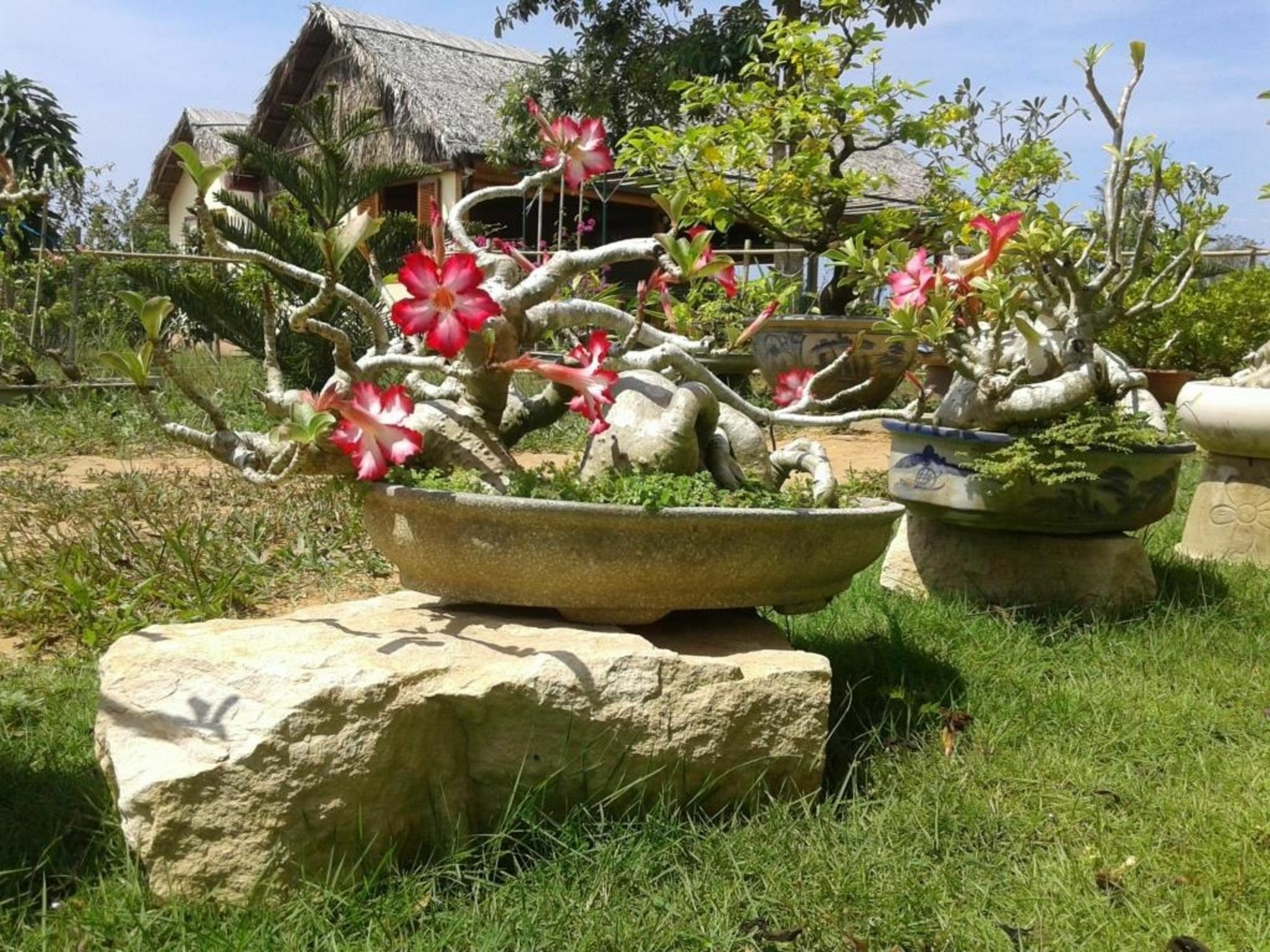 Spring Garden Homestay Phu Quoc Eksteriør bilde