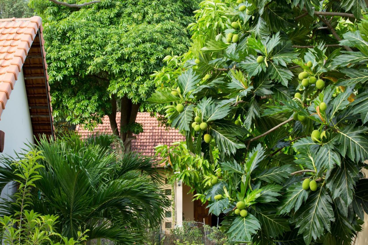 Spring Garden Homestay Phu Quoc Eksteriør bilde