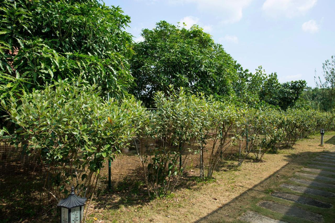 Spring Garden Homestay Phu Quoc Eksteriør bilde