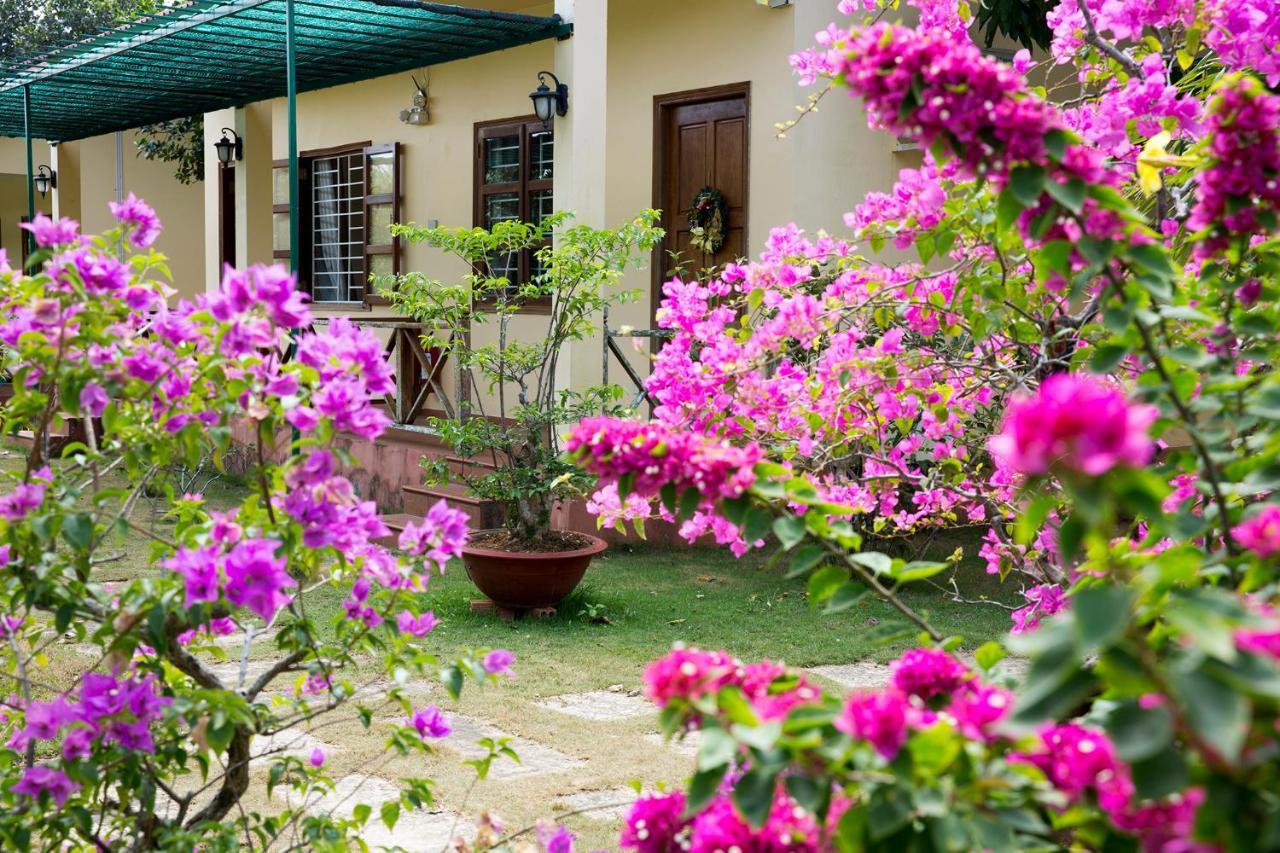 Spring Garden Homestay Phu Quoc Eksteriør bilde